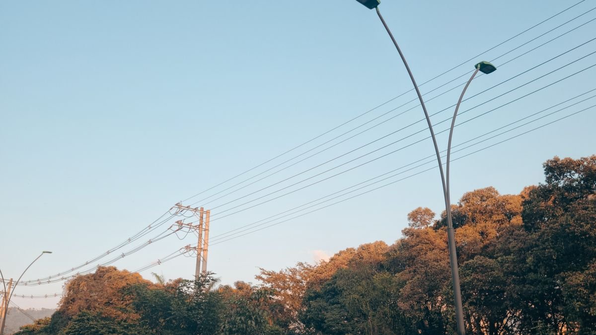 Vía de Bucaramanga con vehículos circulando entre árboles